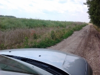 2011-06-13-13-44-38