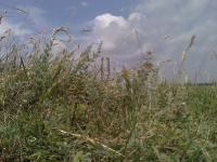 2011-06-13-13-48-38