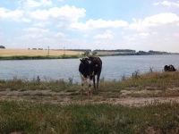 2011-06-13-13-51-16