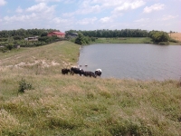2011-06-13-13-55-26
