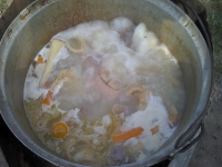 2011-06-05_17-24-19_460
