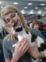expozitia-felina-sofisticat-2011-romexpo-poze-00