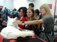 expozitia-felina-sofisticat-2011-romexpo-poze-13