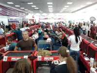 expozitia-felina-sofisticat-2011-romexpo-poze-16