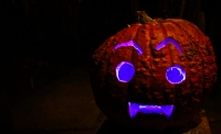 halloween-pumpkin-1