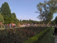2011-05-29_18-45-51_975