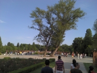 2011-05-29_18-46-04_436