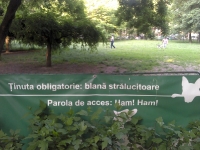 2011-05-29_19-07-21_116
