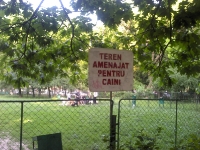 2011-05-29_19-07-39_803