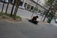 poze-milano-02