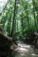 pestera_valea_cetatii_fundata_rasnov_01