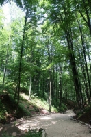 pestera_valea_cetatii_fundata_rasnov_02