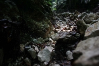 pestera_valea_cetatii_fundata_rasnov_03