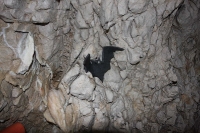 pestera_valea_cetatii_fundata_rasnov_05