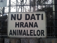 2011-02-06_16-26-09_814