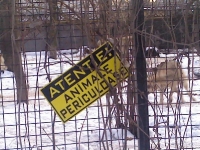 2011-02-06_16-48-04_414