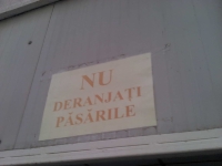 2011-02-06_16-58-43_714