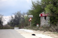 transalpina_damiana_poze_03