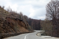 transalpina_damiana_poze_06