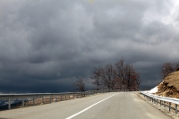 transalpina_damiana_poze_08