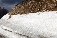 transalpina_damiana_poze_09