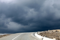 transalpina_damiana_poze_11