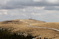 transalpina_damiana_poze_13