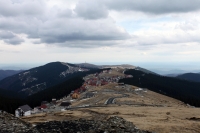 transalpina_damiana_poze_16