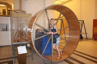 poze-vacanta-viena_25
