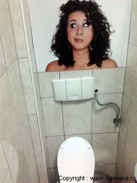 wc-taverna-sarbului-sinaia_1