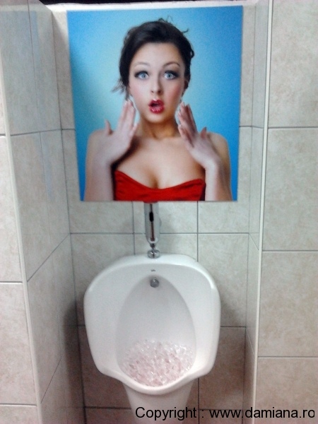 wc-taverna-sarbului-sinaia_2