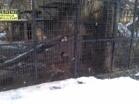 zoo-bucuresti-03