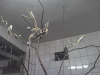 zoo-bucuresti-05