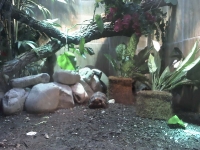 zoo-bucuresti-07