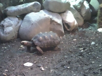 zoo-bucuresti-08