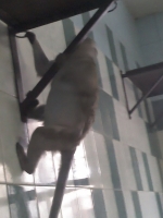 zoo-bucuresti-09