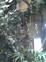 zoo-bucuresti-13