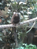 zoo-bucuresti-14