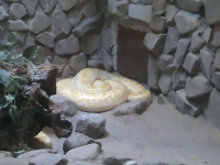 zoo-bucuresti-19