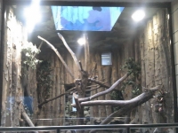 zoo-bucuresti-25
