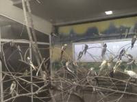 zoo-bucuresti-29