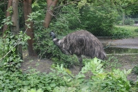 zoo-budapesta_03