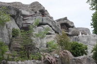 zoo-budapesta_04