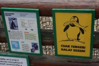 zoo-budapesta_07