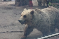 zoo-budapesta_29