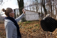 zoo-radauti-11