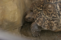 zoo_viena_03