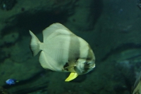 zoo_viena_05