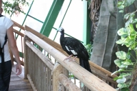 zoo_viena_19
