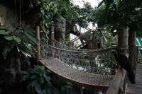 zoo_viena_20
